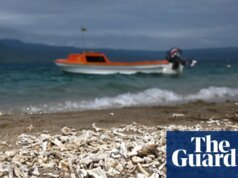 La encuesta de la ONU sobre la crisis climática muestra que el impulso político está creciendo, dicen los expertos Crisis climática
