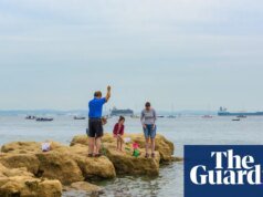 Se encuentran altos niveles de una sustancia tóxica “para siempre” en la costa del sur de Inglaterra | vida marina