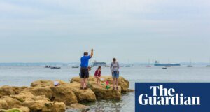 Se encuentran altos niveles de una sustancia tóxica “para siempre” en la costa del sur de Inglaterra | vida marina