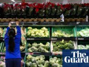 Gran Bretaña está “durmiendo durante una crisis alimentaria” sin una acción urgente, dicen los expertos el medio ambiente