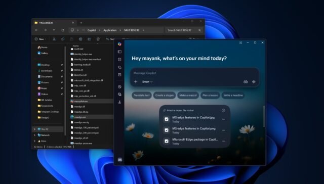 Windows-11-Copilot-app.jpg