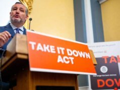 Cómo eliminar imágenes íntimas no consensuadas según la Ley Take It Down