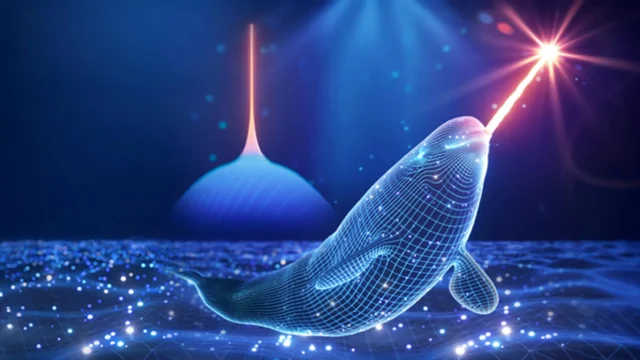 narwhal-shaped-wavefunction.webp.webp