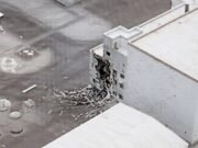 Cinco muertos en ataque ruso en Ucrania Explosión de Zelenskiy en un ataque “extremadamente atroz” contra una instalación de almacenamiento de combustible nuclear cerca de la central de Chernobyl