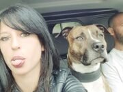 Un francés declarado culpable de homicidio involuntario después de que un perro pitbull importado ilegalmente matara a su novia embarazada