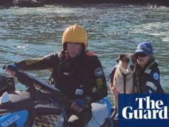 El perro fue rescatado después de ser arrastrado desde una roca en la costa sur de Nueva Gales del Sur y nadó 800 metros hasta una isla. Costa sur de Nueva Gales del Sur