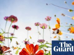 GCSE de Historia Natural enseñará a los adolescentes a cultivar GCSE respetuosos con las flores silvestres