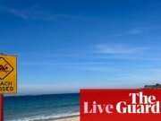 Australia News Live: Los expertos respaldan los llamados a la caza de tiburones después del ataque; Los estudiantes universitarios temen la libertad de expresión, informan las noticias australianas