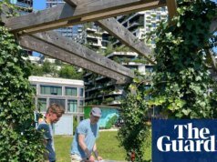 De la jungla móvil al arte de las sombras: cómo los holandeses intentan combatir el calor