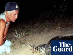 El ecologista del famoso santuario de tortugas del Líbano murió en el ataque israelí al Líbano