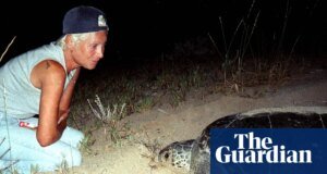 El ecologista del famoso santuario de tortugas del Líbano murió en el ataque israelí al Líbano