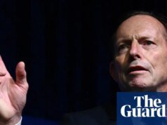 Experto en tiburones dice que Tony Abbott ‘no entiende la ciencia’ después de que el ex primer ministro lo denunciara | el tiburón