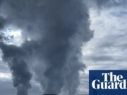 Limpiar a Drax después de una investigación sobre el origen de los cuchillos de madera Drax