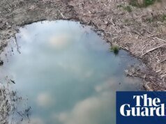 Una mujer de Minnesota ha sido rescatada tras permanecer atrapada en un agujero en el suelo durante días