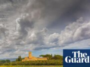 El ADN de semillas de uva de 2.000 años de antigüedad apunta a los orígenes de la vinificación moderna en Italia