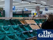 ‘Prioridad nacional urgente’: Ministros acusados de complacencia con el suministro de alimentos del Reino Unido | Industria de alimentos y bebidas