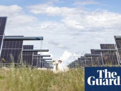 La energía solar genera por primera vez más energía en EE.UU. que el carbón