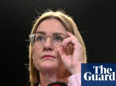 Jacinta Allan dice que Pauline Hanson ‘eligió los cuarteles para los matones’ en el cartel publicitario de la ‘jaula de brujas’ | Jacinta Allan