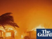 Los incendios forestales devastan zonas ricas pero queman menos hectáreas en todo el mundo: estudio | fuego