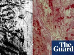 La Roca Rayada fue descartada como natural en 1928 y reclasificada como el arte rupestre más antiguo del Reino Unido. Paleontología
