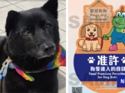1.000 restaurantes de Hong Kong obtienen permiso para admitir perros a partir del 9 de julio