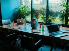 Obtenga Word, Excel, PowerPoint y Windows 11 Pro por $26 por única vez, sin cargos continuos