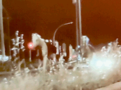 Unas tres docenas de caballos corren en estampida por las calles de Roma después del espectáculo de fuegos artificiales.