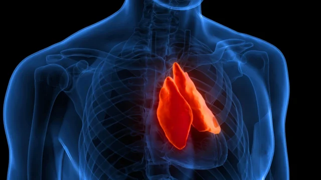 human-body-thymus-gland.webp.webp