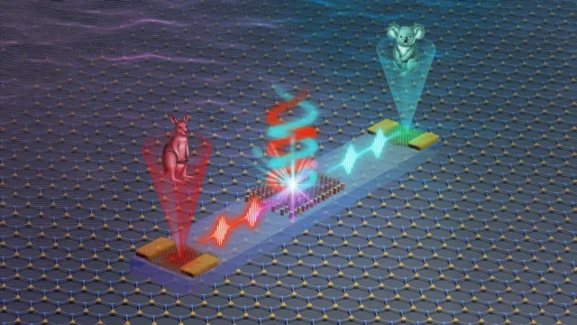 photonic-valleytronic-chip-for-information-processing.webp.webp