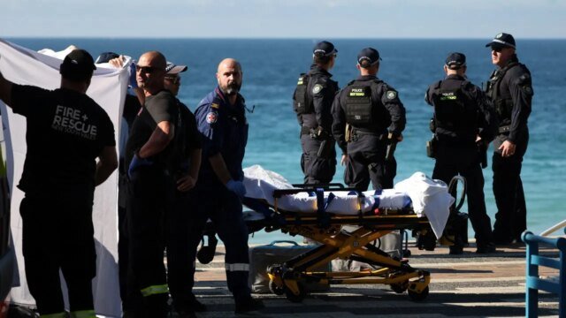 shark-warning-sydney-beach.jpeg