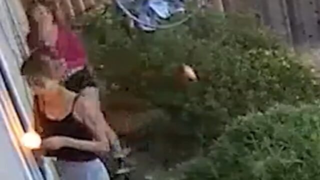 109912859-0-image-m-18_1783609834081.jpg