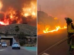 Al menos 11 personas, incluidos cuatro británicos, han muerto en incendios forestales en el sur de España, populares entre los expatriados del Reino Unido.