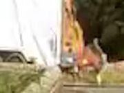 A Moment Bank de Dave Nayak le robaron la papelera “trabajadores del ayuntamiento que coreaban “ve, ve” mientras huían en un camión de basura”.