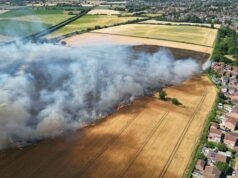 Los agricultores héroes del momento desafiaron las llamas y colocaron cortafuegos de emergencia en sus tractores para evitar que el fuego se extendiera a la urbanización.