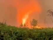 Un extraño ‘firenado’ quema los lugares turísticos franceses, los turistas huyen de los campamentos y España lucha contra los ‘mayores incendios forestales jamás registrados’ en una ola de calor de 47 ° C