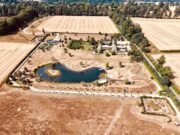 Del Balón de Oro al Campo de Oro: David Beckham, de dedos verdes, regresa de Ibiza mientras la ola de calor convierte su propiedad de £12 millones en Cotswolds en un cuenco de polvo seco