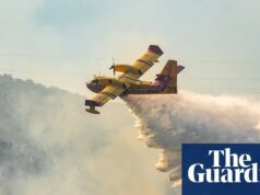 Los incendios forestales han arrasado el sur de Europa y han obligado a miles de personas a huir de sus hogares.