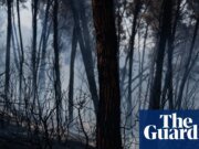 12 muertos en incendios forestales en el sur de España ante el aumento de las temperaturas | España