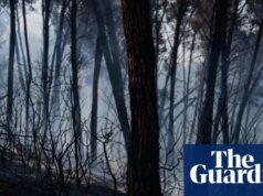 12 muertos en incendios forestales en el sur de España ante el aumento de las temperaturas | España