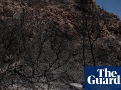 Se confirma la muerte de una pareja británica en un incendio forestal en España