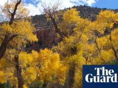 Cinco miembros de una familia encontrados muertos después de una inundación repentina en el cañón de Utah, dice la policía | Utah