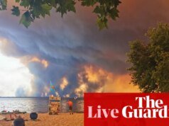 Francia y España se apresuran a contener los incendios forestales mientras los suburbios de Burdeos comienzan la evacuación – EN VIVO | fuego