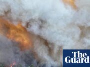 Bomberos combaten el incendio forestal de Fontainebleau cerca del incendio de París