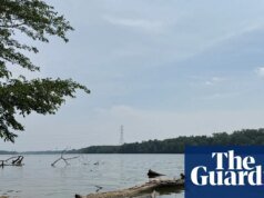 Cinco personas mueren intentando salvar a un nadador en apuros en el río Ohio Ohio