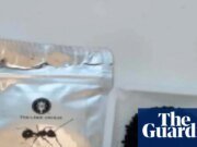 Propietario de un restaurante con estrella Michelin en Corea del Sur se enfrenta a la cárcel por servir hormigas en el postre | Corea del Sur