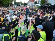 Miles de personas protestan contra la conferencia del partido AfD en Erfurt, Alemania
