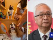 No hay planes para eliminar la política de restaurantes que admiten perros a pesar de la reacción en línea: Gobierno
