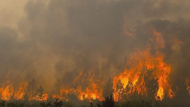 France-Wildfires-July-Southwest.jpg