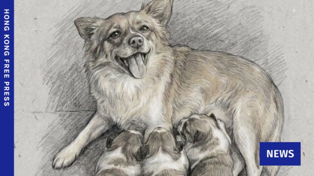 Hong-Kong-SPCA-welcomes-police-move-to-take-down-videos-of-mainland-China-animal-abuse-incident.jpg