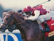 El jockey Frankie Dettori resultó herido con costillas rotas tras un accidente automovilístico en Newmarket